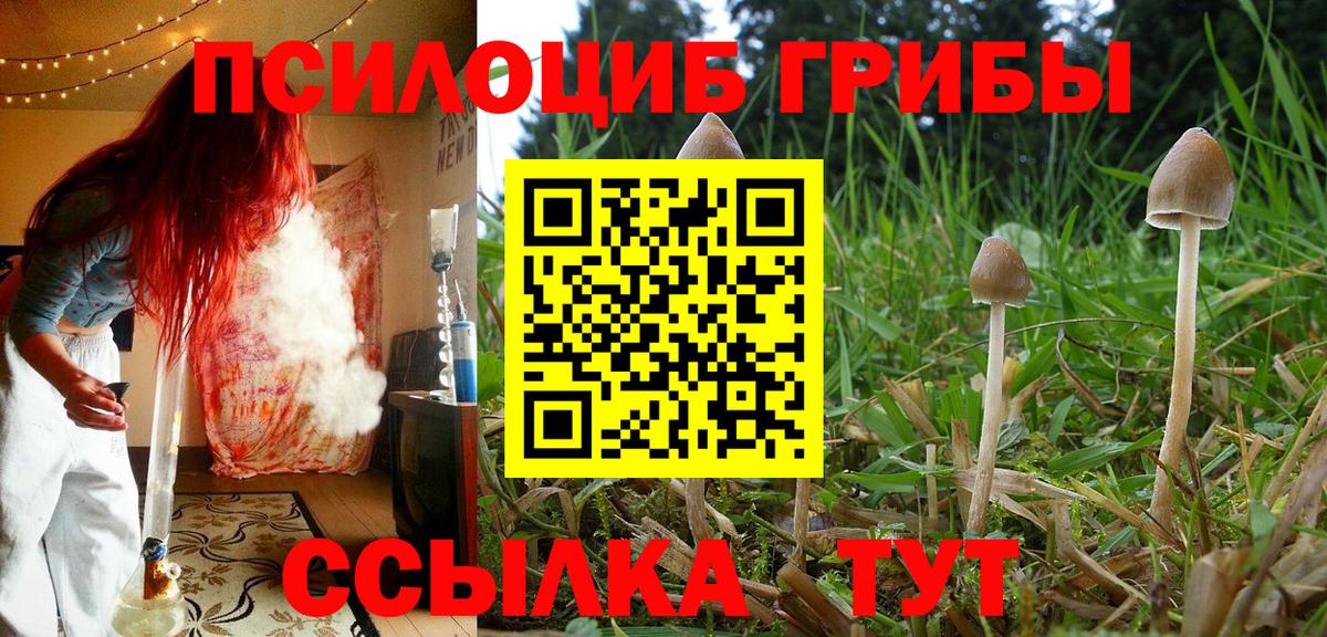Галлюциногенные грибы ЛСД Подольск